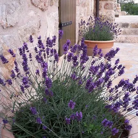 Stone House Bura בית נופש טריבני-קרושיצה
