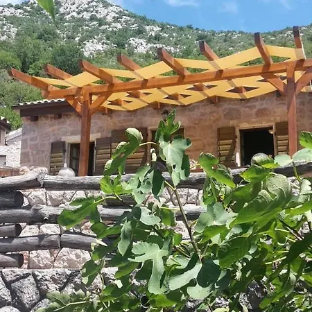 Stone House Bura בית נופש