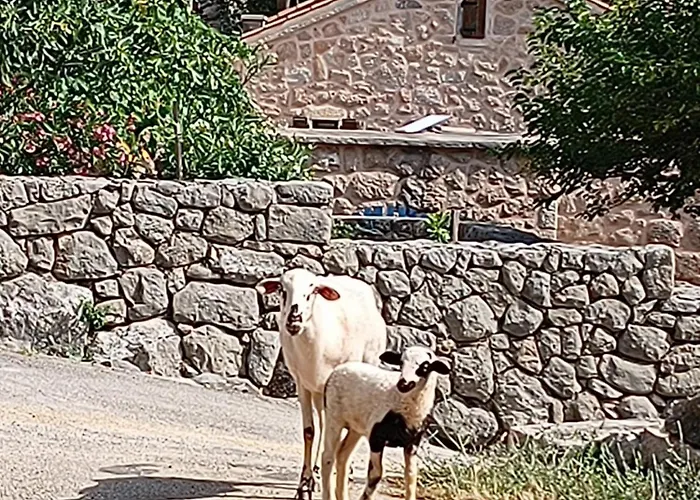 Stone House Bura Holiday home Tribanj-Kruscica